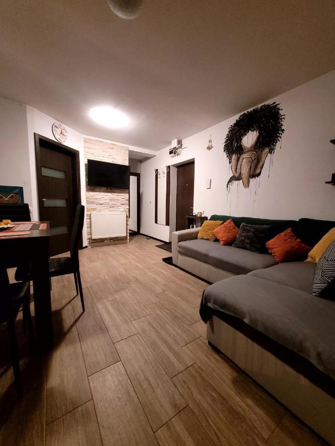 Dds Apartment Braşov Esterno foto